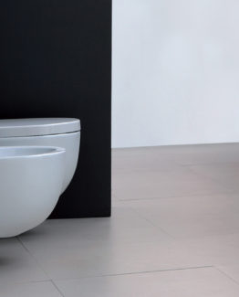 esedra_bull_bidet_wc_