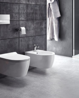 miska-wc_doto-pure-rim_excellent-545-1_